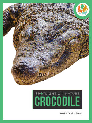 cover image of Crocodile